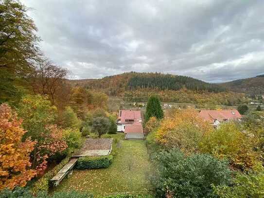 Renovierte 2-Zimmer-Erdgeschosswohnung mit Terrasse und EBK in Neckargemünd