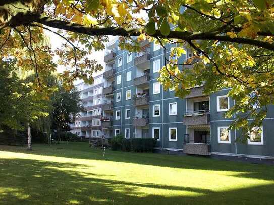 Für Generation 55+ die Perfekte Singlewohnung in ruhiger, grüner Lage von Langenhorn