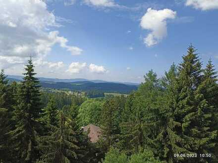 Traumblick ! Schönes Appartement mit Südbalkon