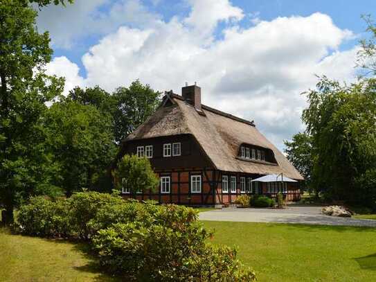 Edles Reetdachhaus in schönster Natur