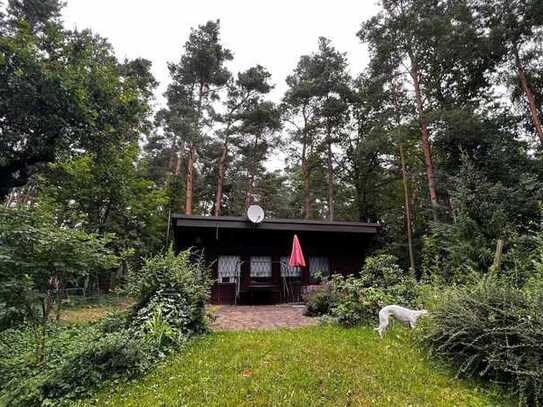 Am Waldrand in malerischer Umgebung! Parkähnliches Gartenparadies mit Bungalow.