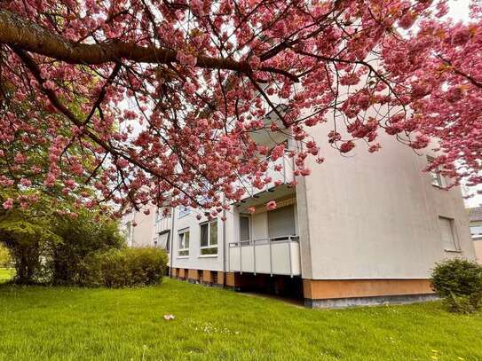 Gemütliche 4-Zimmer-Wohnung Nähe Schulzentrum in Korbach