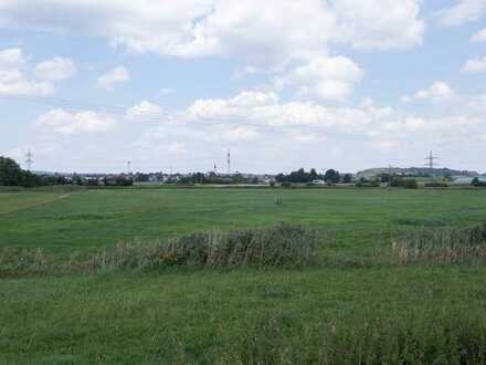 Große Wiese - Grünland als Ausgleichsfläche