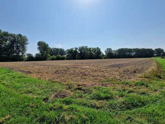 Landwirtschaftliche Fläche zwischen Neufahrn und Massenhausen