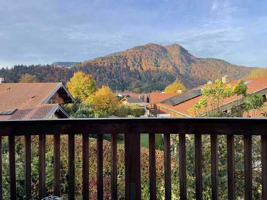 Sehr schöne Dachgeschosswohnung mit Top-Ausblick