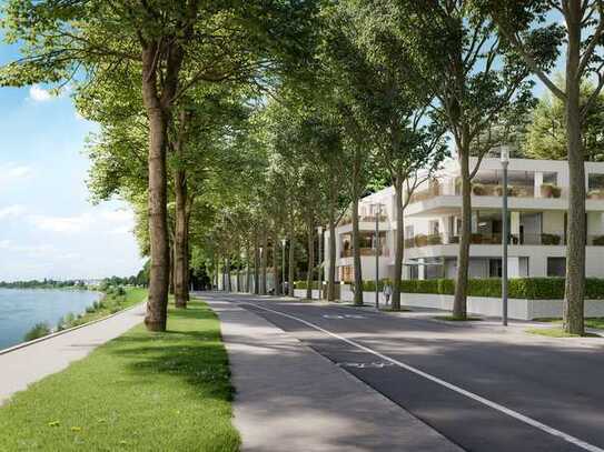 Terrasse, Sauna und Kamin - Luxus Neubauwohnung am Schlosspark mit Rheinblick (WE 9)