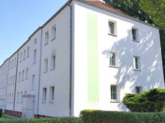 Sanierter Altbau! Schöne 3-R.-WE in Zittau!