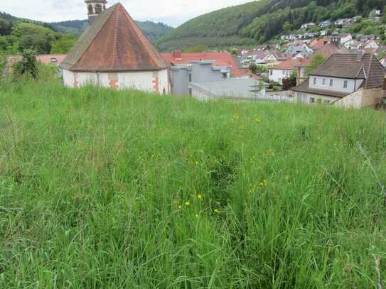 Sonniges Baugrundstück in Neckargerach