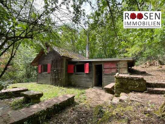 Back to the roots - Außergewöhnliches Freizeitgrundstück mit 7.556 m² Grundstück in Albersweiler zu