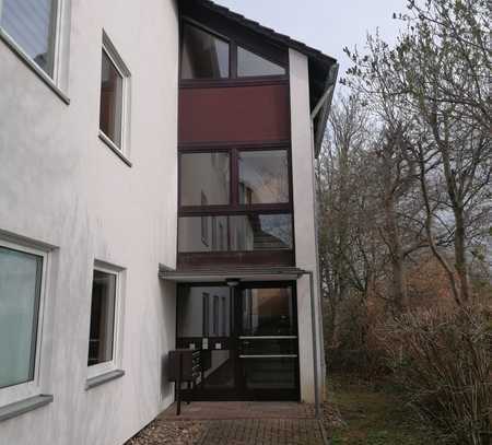 1-Zimmer Appartement in ruhiger Umgebung