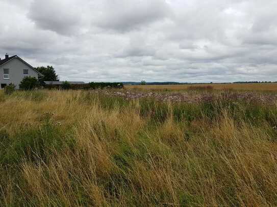 Idyllisch gelegenes Grundstück in der Mecklenburgische Seenplatte