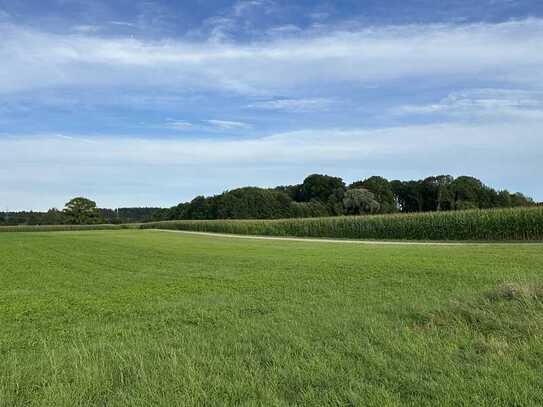 Waldgrundstück in toller Lage!