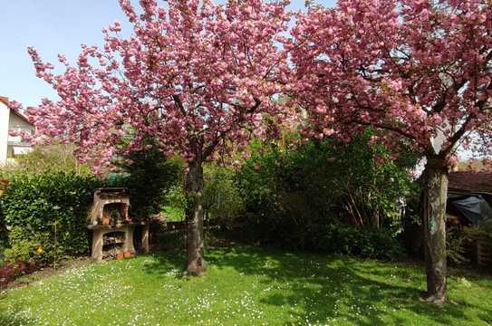 Sehr schöne Erdgeschosswohnung mit eigenem Garten