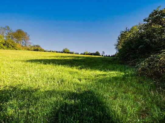 Baugrundstück - 5.218 m² - aufteilbar
Potenzial für 6 Einfamilienhäuser
Gemeinde Auerbach - Land