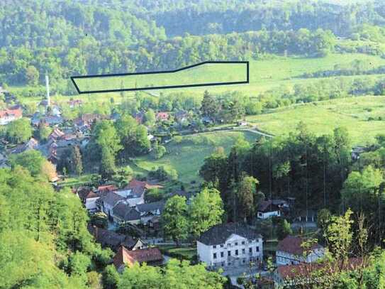 Bauerwartungsland im Luftkurort Neustadt/Harz