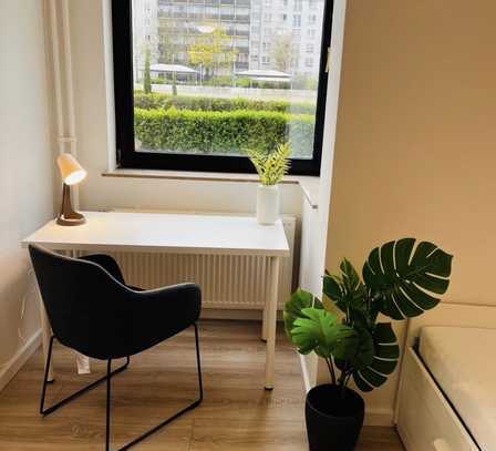 Mobilierte 1-Zimmer-Wohnung in Mainz (Nähe Uni)