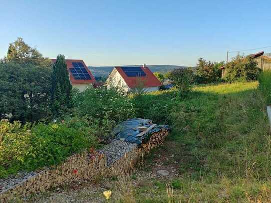 Schöner Bauplatz für ein Einfamilienhaus