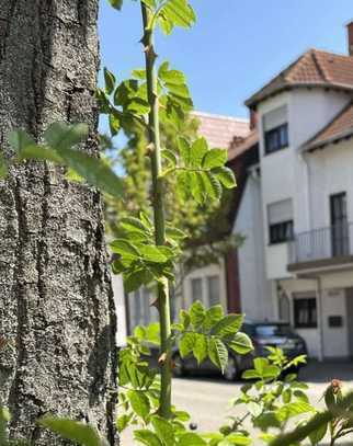 RSI Invest bietet an:Neulussheim 2 Familienhaus für Individualisten