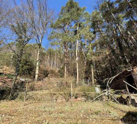 Hangrundstück in ruhiger Waldrandlage in Lindenberg