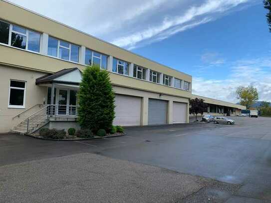 TRIWO Gewerbepark Edenkoben: Lagerhalle mit Bürofläche ab ca. 2.300 m² ab 3,90 €/m²