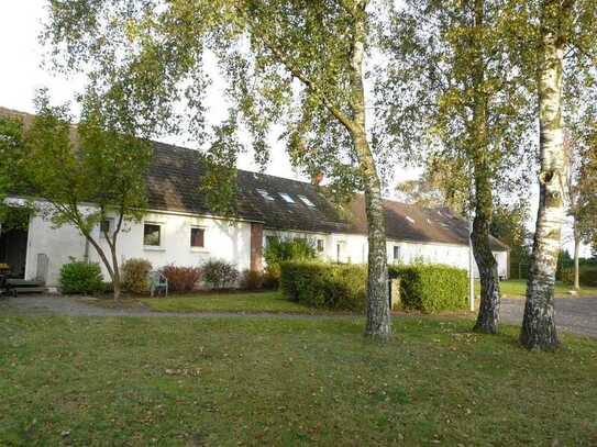 Schöne 1 Zimmerwohnung am Dorfrand von Großenaspe mit Blick auf die Felder