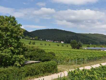 ab 221 bis 1283 qm große Baugrundstücke auch Weinbergs- und Feldrandlagen im Kreis DÜW