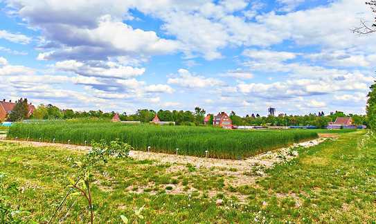 NEUER KP- Ca. 3700 qm Sonnengrundstück mit historischem 15-ZIMMER-GUTSHOF - für 2 bis 4 Familien