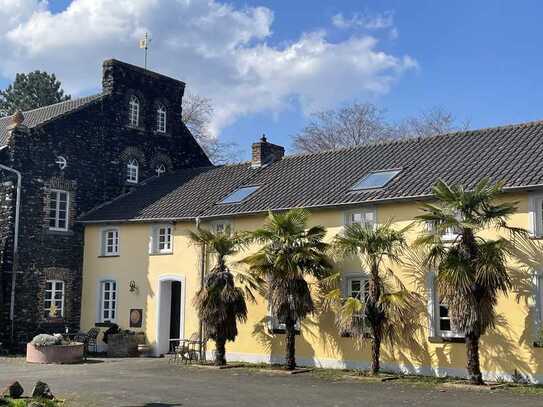 Geräumige, gepflegte 1-Zimmer-Wohnung in Wachtberg-Niederbachem