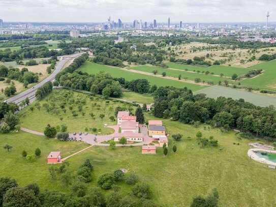 Herrrliche, helle 1-Zimmer-Wohnung im Grünen und doch in der Stadt