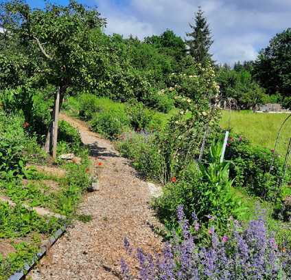 XXL-Reihenmittelhaus auf dem Lande mit ca. 12.000 qm Garten und Wiese