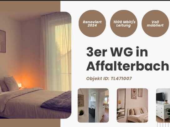 Top renovierte 3er-WG in Affalterbach – voll möblier