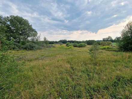 7461m² Bauland Traumlage Feldblick in Neubrandenburg mit B Plan