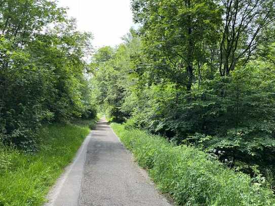 Schmuckstück in Lichtscheid - gigantisches Waldgrundstück