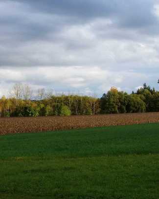 Wohnen im Grünen - Baugrundstück Nähe Bodensee