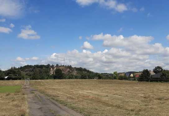 Traumgrundstücke in unmittelbarer Elbnähe (kein Hochwassergebiet) im begehrten Nieschütz