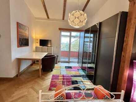 Möbliertes Apartment, schöne, helle, moderne 1-Zimmer-Wohnung mit Balkon, zentral