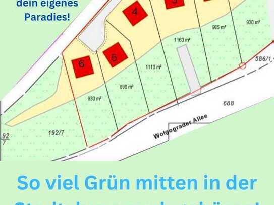 Deluxe: großes grünes Grundstück mitten in Chemnitz: