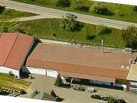 Industriehallen vielseitig nutzbar, Freiflächen, Gewerbegebiet ruhige und zentrale Lage