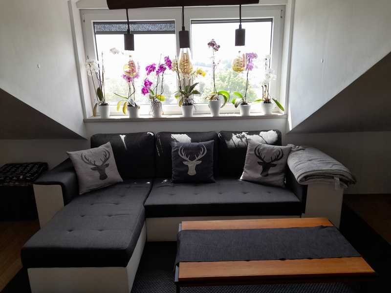                                                               3-Zimmer-Dachgeschosswohnung in Velden                                                       in Velden (Landshut)