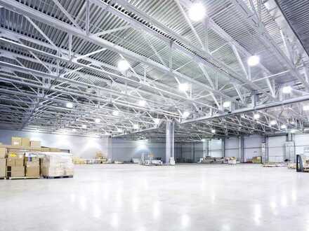 Modernisierte Stahlwerkshalle für logistische Nutzung dank 12,50 m UKB und ESFR-Sprinklerung