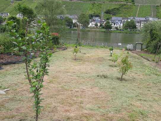 Traumhaftes Freizeitgrundstück mit kleiner Plantage und PanoramaBlick