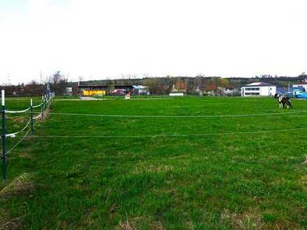 Projektiertes Grundstück im Neubaugebiet Balingen "Urtelen "