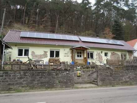 1-FAMILIENHAUS MIT NEBENGEBÄUDE UND WALDGRUNDSTÜCK IN HANGLAGE, MITTEN IN DER NATUR!