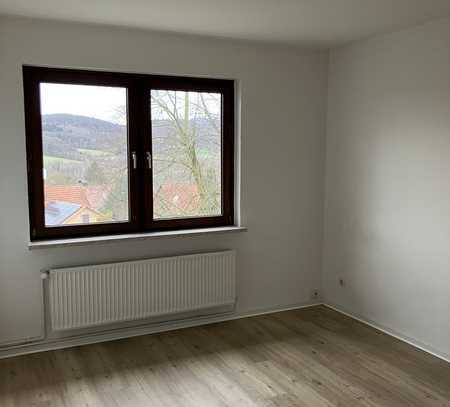 Bad Salzdetfurth - gemütliche 1 Zimmer Wohnung