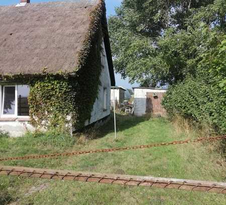 RÜGEN ! 1900 m² Grundstück am Schaproder Bodden bebaut mit sanierungsfähigem Reetdach-Altbau! Neuer