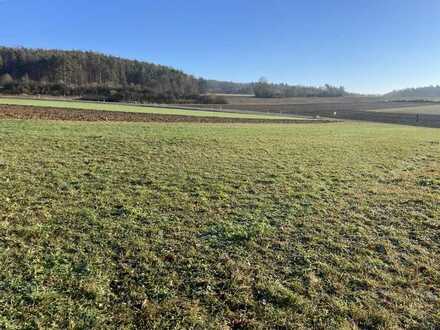 Wohnbaugrundstück für ein großes Okal Haus in Weigendorf bei Pommelsbrunn