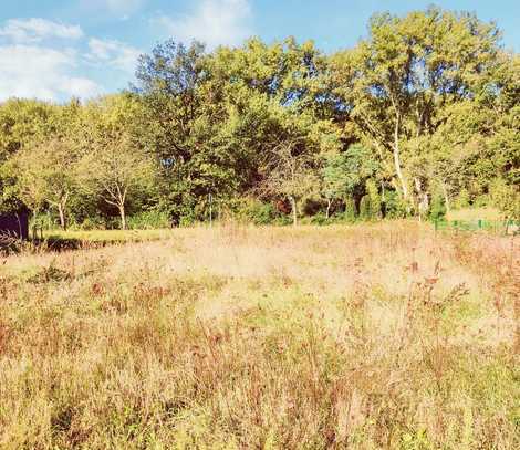 Fünfvierteläcker Ketsch: schöner Bauplatz mit unverbaubarem Blick ins Naturschutzgebiet