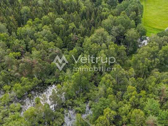 MOOSTEIL - ÖKOLOGISCH WERTVOLLES WALDGRUNDSTÜCK IM RAUM WÖRTHSEE