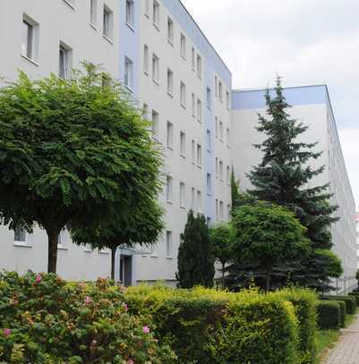 Schöne 3-Zimmer-Wohnung in der Burgbreite mit Balkon