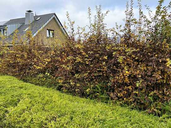 Schönes Baugrundstück für ein Freistehendes Einfamilienhaus